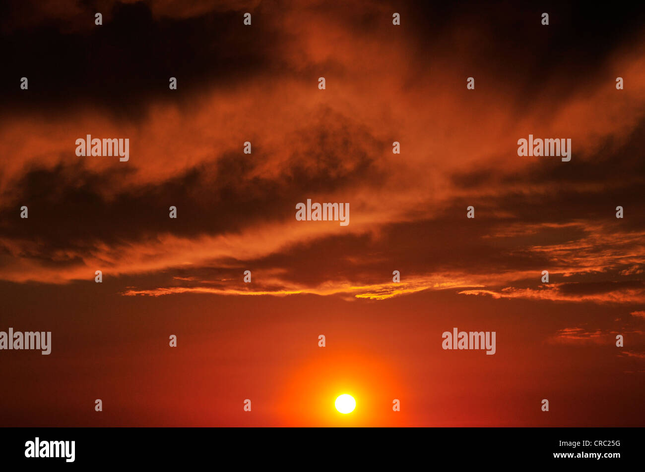 Ein Sonnenuntergang färbt den Himmel am ersten Tag der Monsun-Saison in der Sonora-Wüste, Tucson, Arizona, USA. Stockfoto