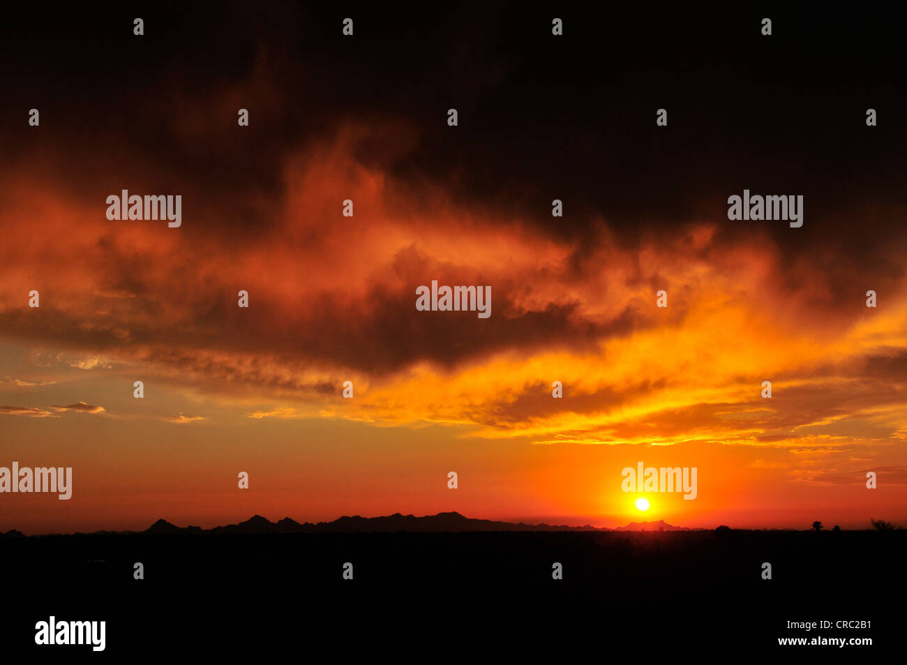 Ein Sonnenuntergang färbt den Himmel am ersten Tag der Monsun-Saison in der Sonora-Wüste, Tucson, Arizona, USA. Stockfoto