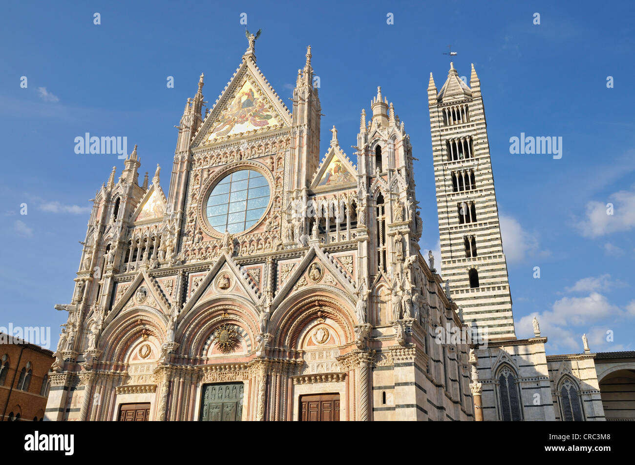 Siena Kathedrale Duomo Santa Maria Assunta, Siena, Toskana, Italien, Europa Stockfoto
