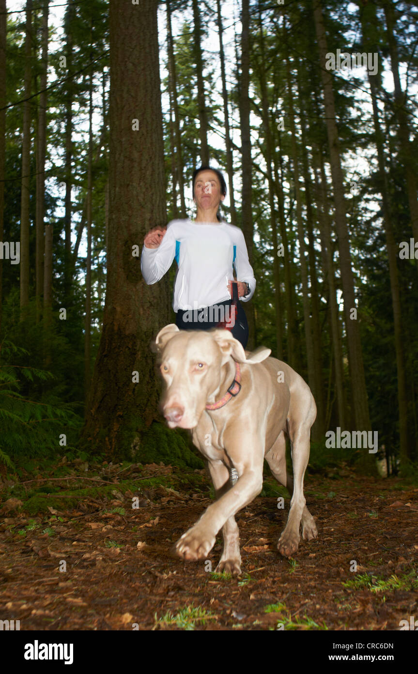 Frau mit Hund im Wald joggen Stockfoto