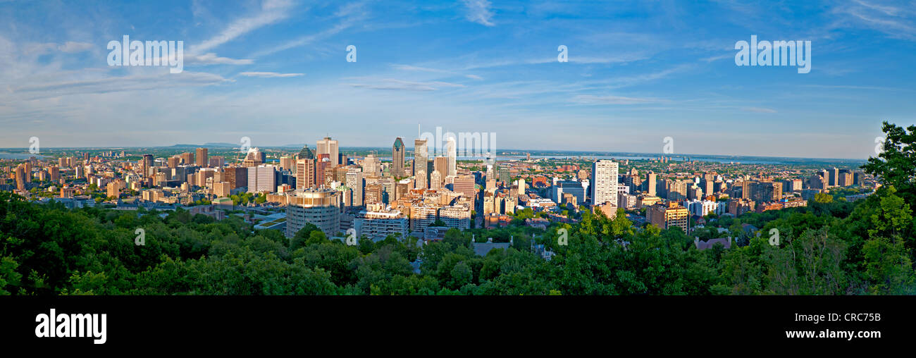 Panoramablick auf Kanada, Quebec, Montreal, Innenstadt im Sommer Stockfoto