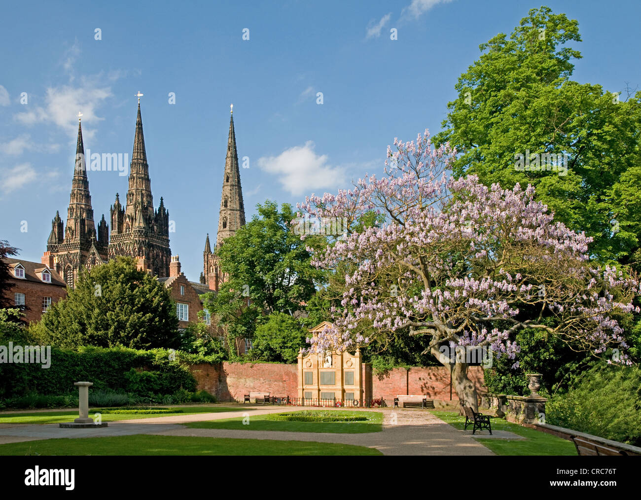 Kathedrale von Lichfield und Memorial Gardens mit Blüte lila gefärbt Baum an sonnigen Frühlingstag Staffordshire England Stockfoto