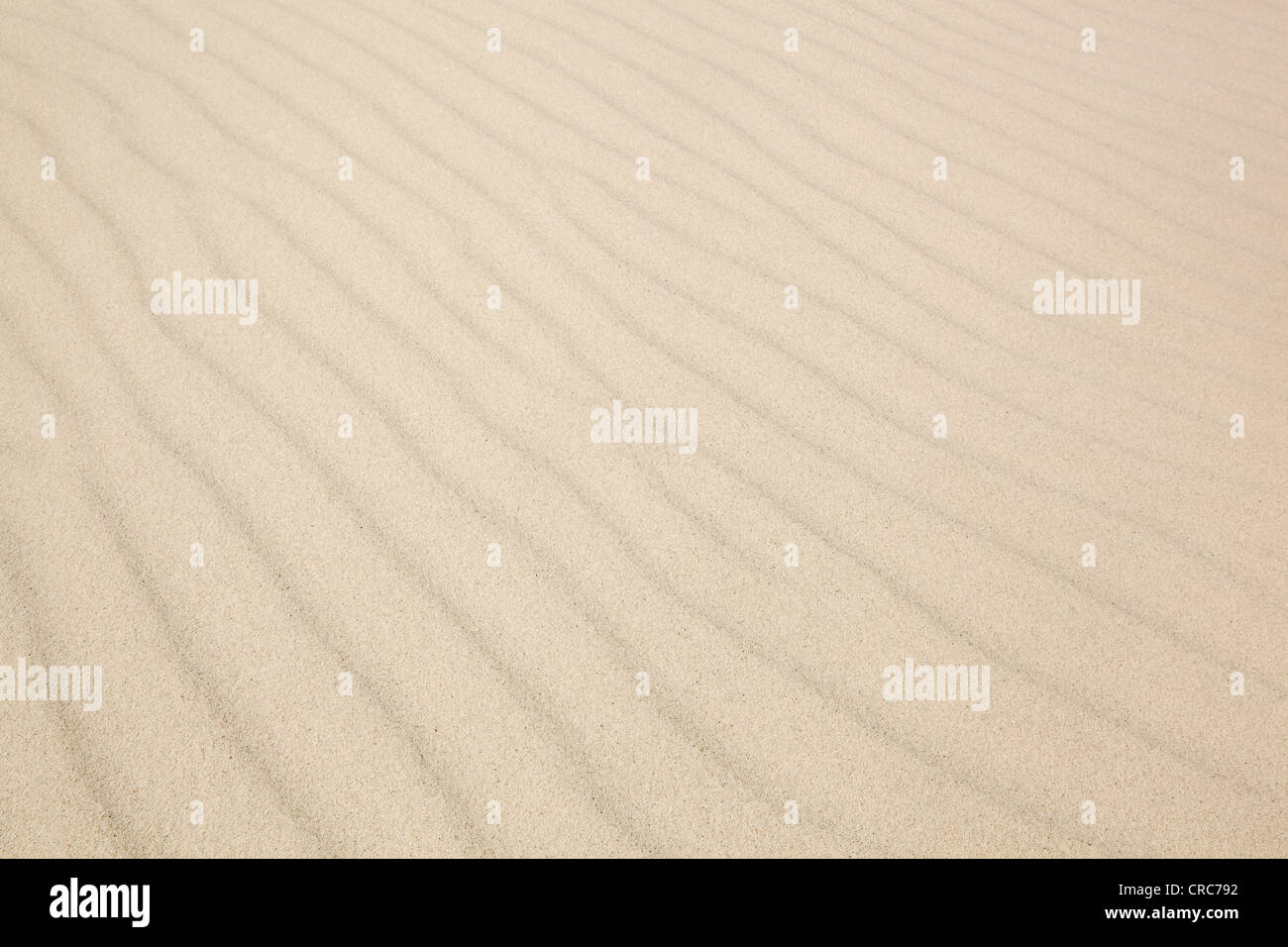 Wellen im Sand dunes Stockfoto