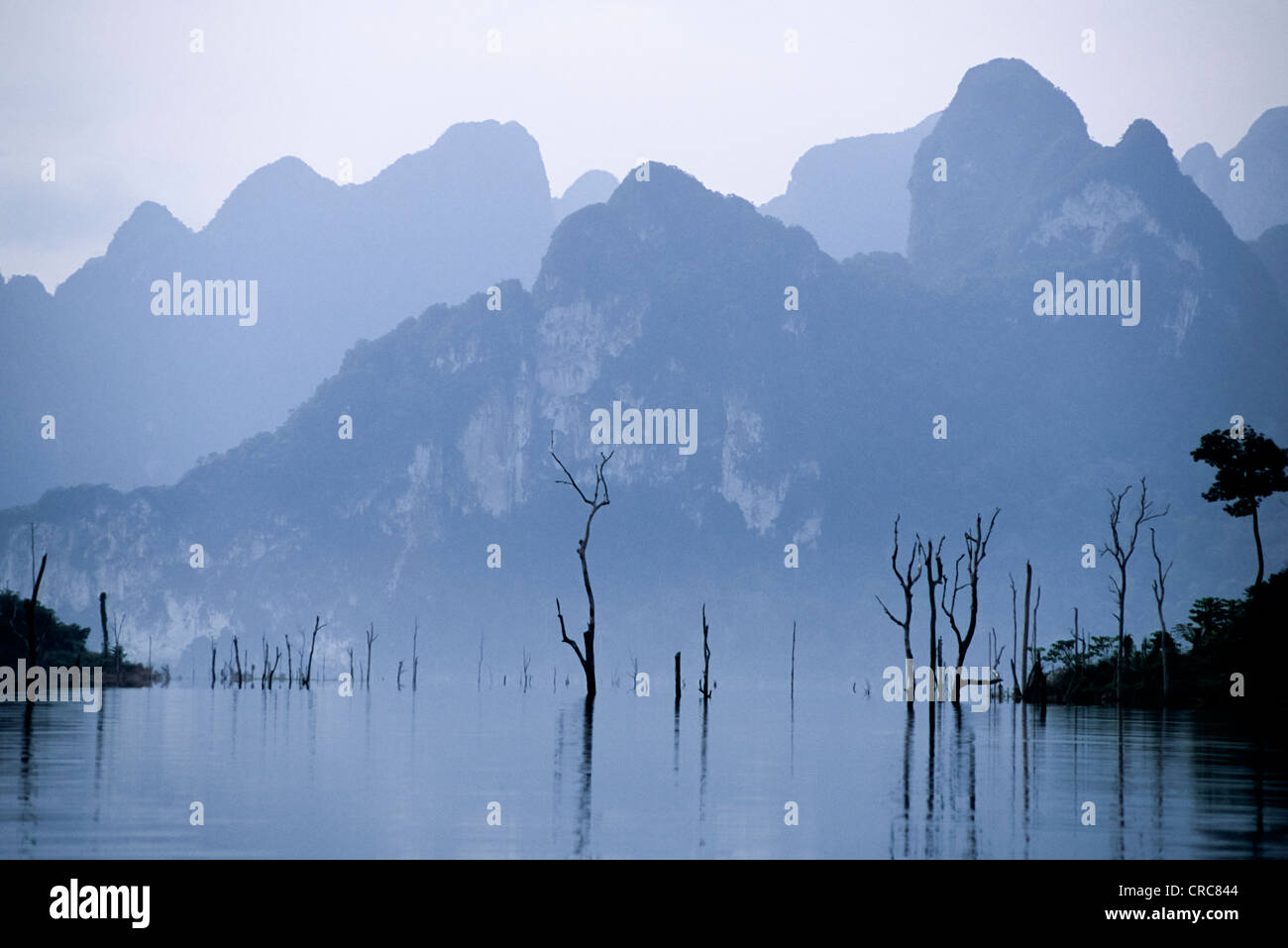 Khao Sok Nationalpark, Thailand. Stockfoto