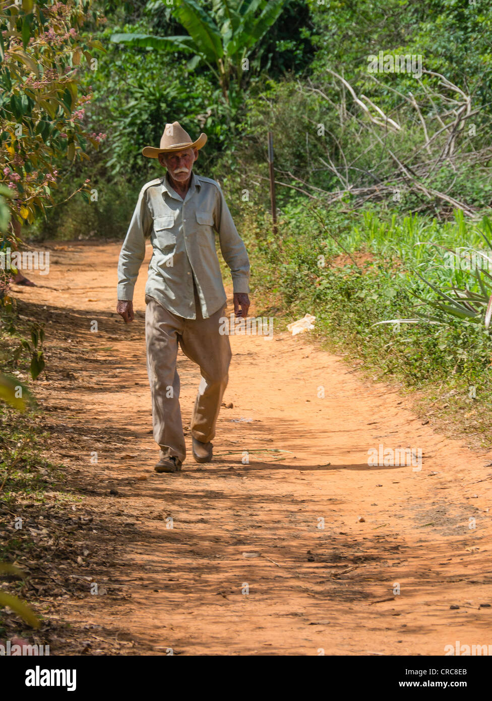 Eine ältere Bauer steht auf einem Feldweg in Ackerland in der Nähe der westlichen Kuba Viñales in der Provinz Pinar Del Rio. Stockfoto