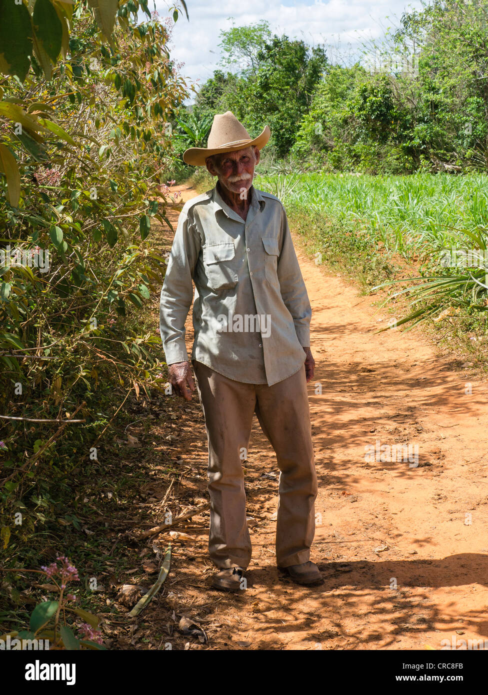 Eine ältere Bauer steht auf einem Feldweg in Ackerland in der Nähe der westlichen Kuba Viñales in der Provinz Pinar Del Rio. Stockfoto