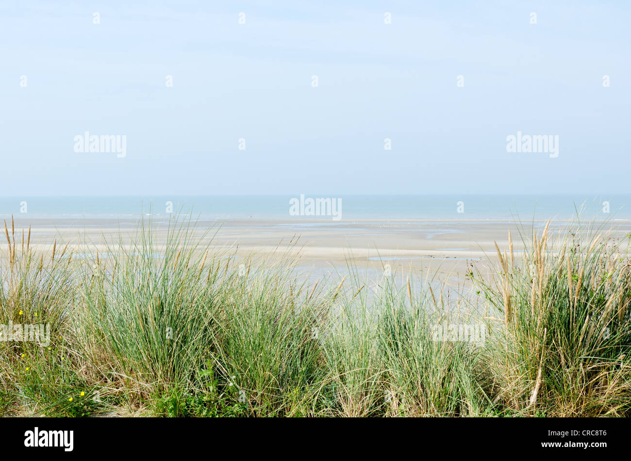 Blick auf den Sandstrand durch das Seegras am Hardelot, Le Touquet, Frankreich Stockfoto