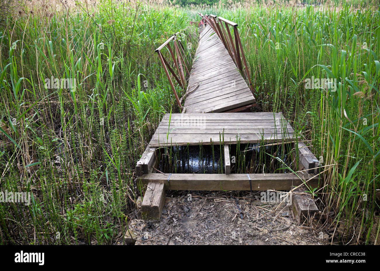 Geplankte Gehweg im Park am Fluss Küste in Moskau, Russland Stockfoto