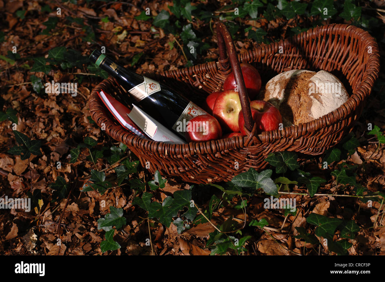 Little Red Riding Hood-Stil-Korb im Wald voller Wein, Äpfel und Brot Stockfoto