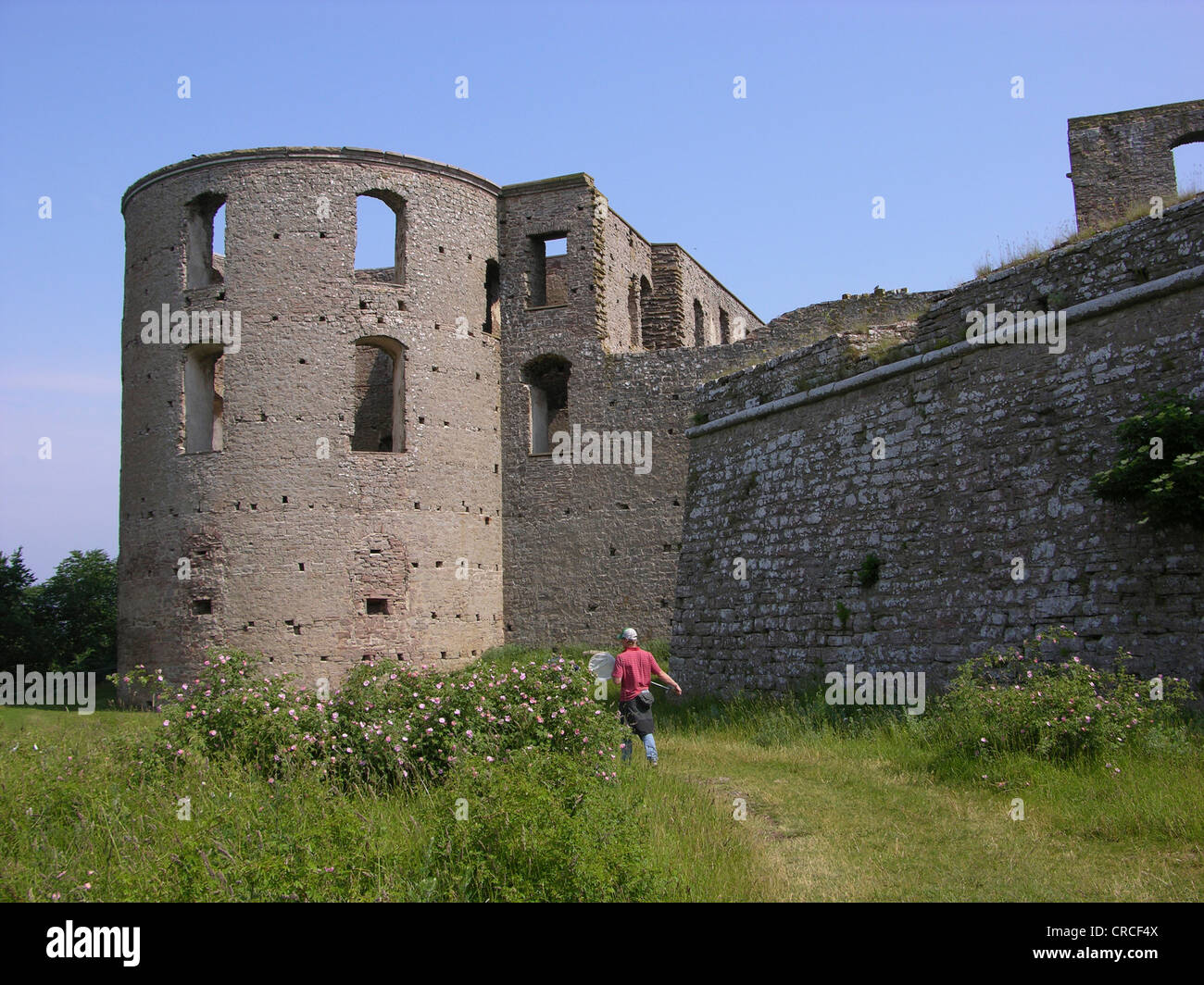 Schloss Borgholm, Schweden, Oeland Stockfoto