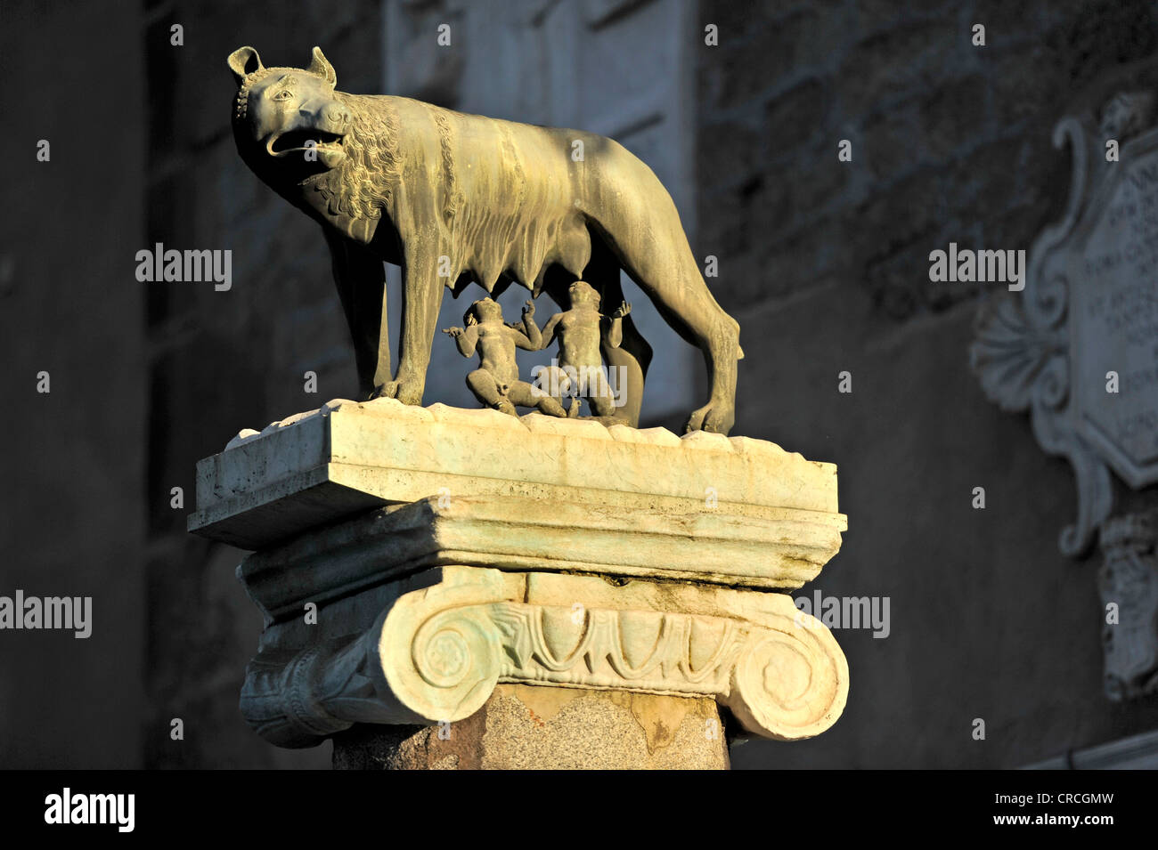 Wölfin Mit Romulus Und Remus www.alamy.de