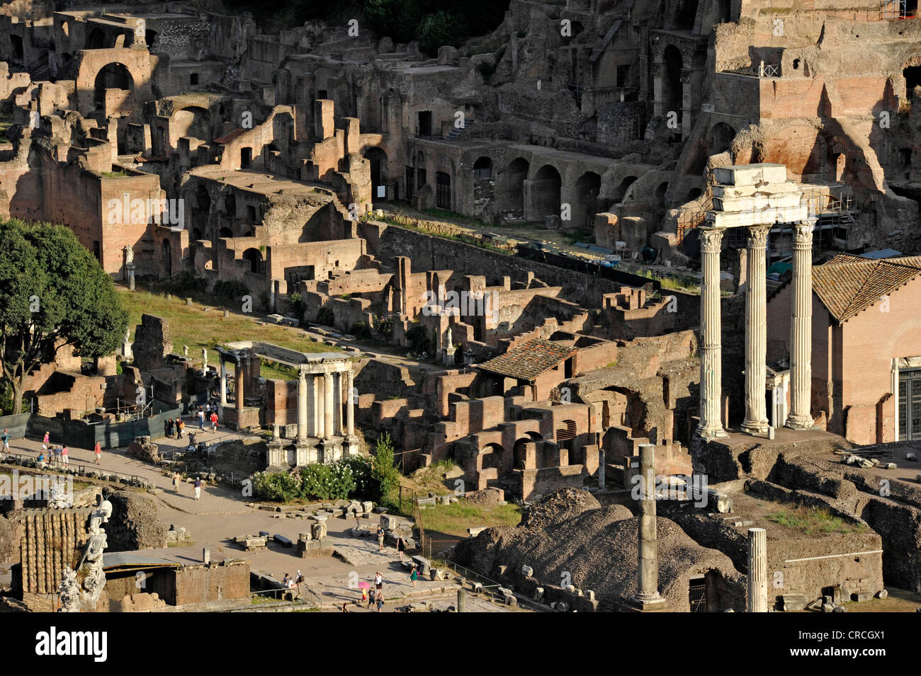 Forum Romanum mit dem Tempel der Vesta, Haus der Vestalinnen und drei Säulen der Tempel der Dioskuren Stockfoto