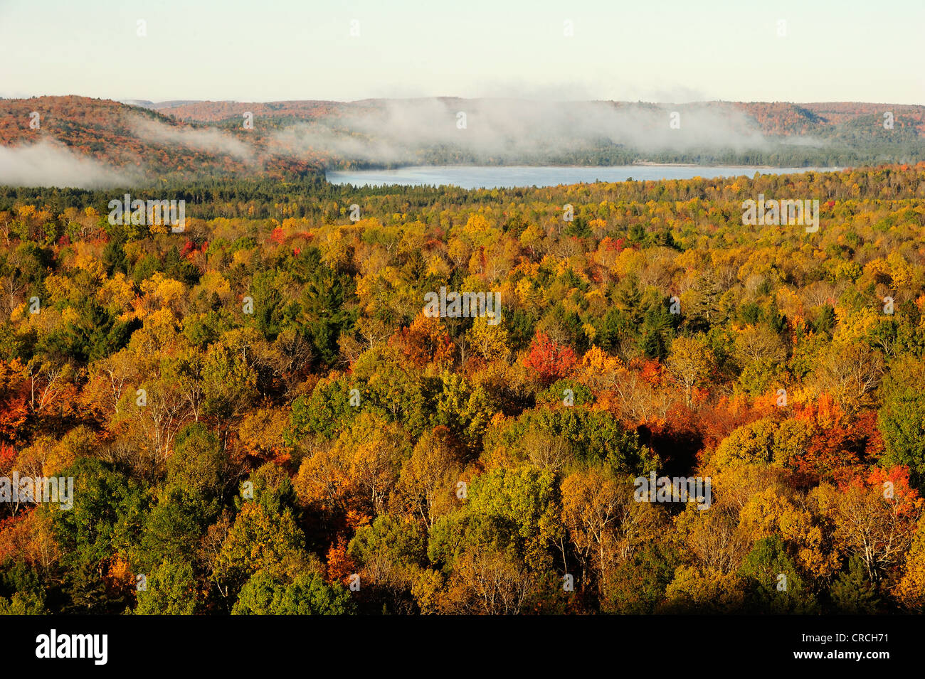 Bunten Herbstwald von oben, Algonquin Provincial Park, Ontario, Kanada Stockfoto