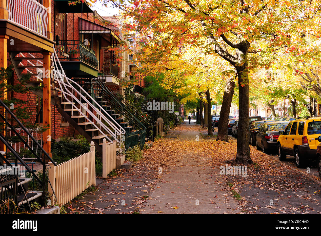 Straße mit typischen zweistöckigen Häusern und nachts Eingänge, Montreal, Quebec, Kanada Stockfoto Straße mit typischen zweistöckigen Häusern und nachts Eingänge, Montreal, Quebec, Kanada Stockfoto
