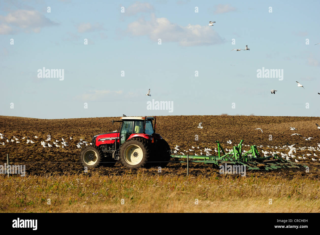 Landwirt auf einem Trecker Pflügen der Erde, Prärien, Saskatchewan, Kanada Stockfoto