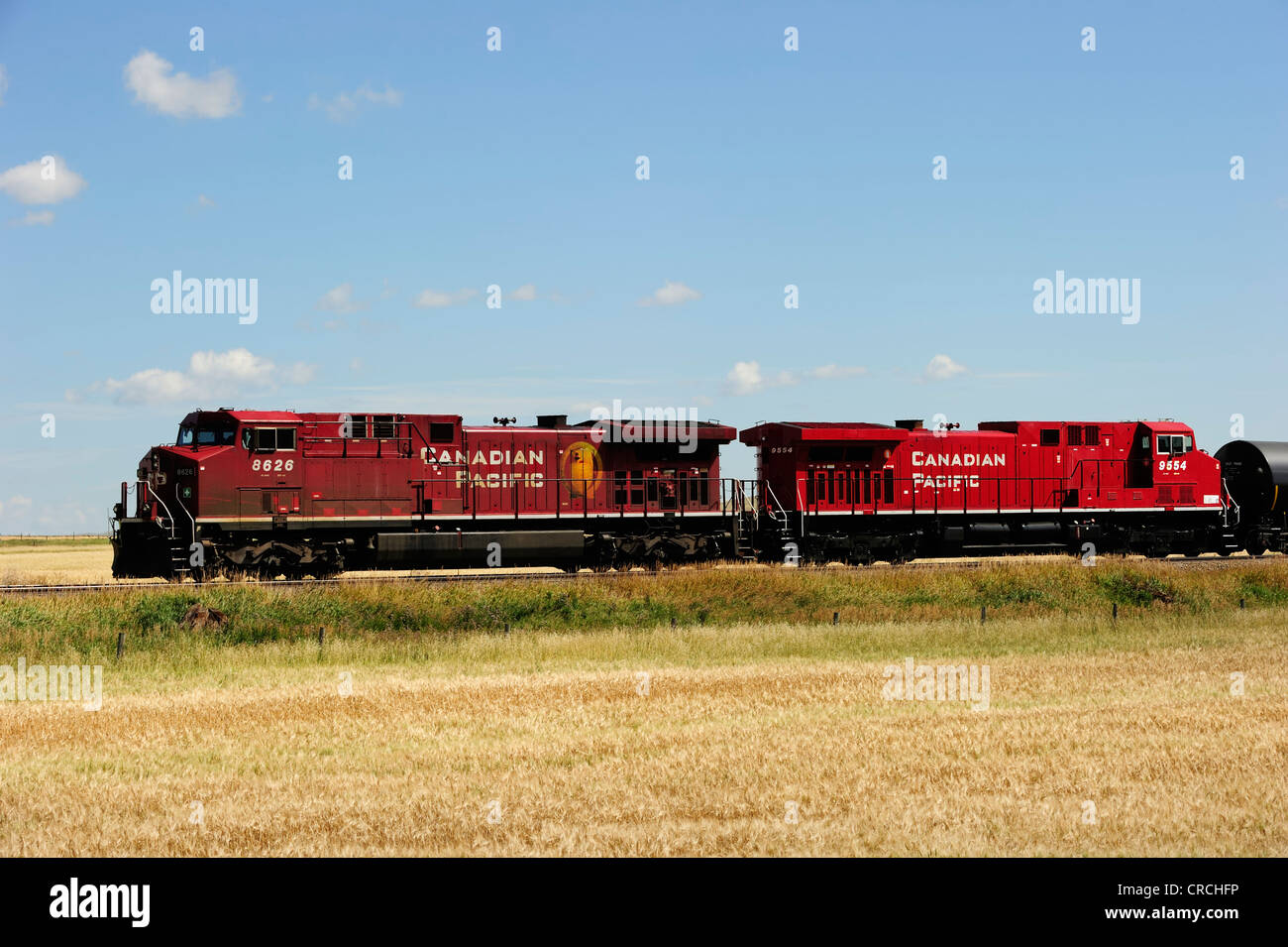 Zwei Lokomotiven von der Canadian Pacific Railway in der Prairie, Alberta, Kanada Stockfoto