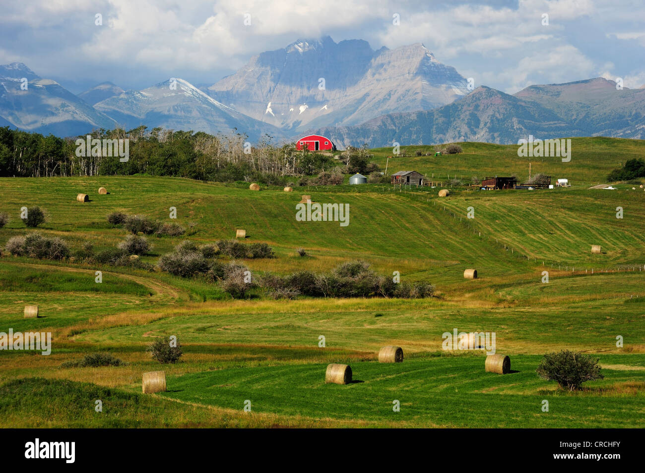 Wo trifft die Prärie der Rocky Mountains, Waterton Lakes National Park, Alberta, Kanada Stockfoto