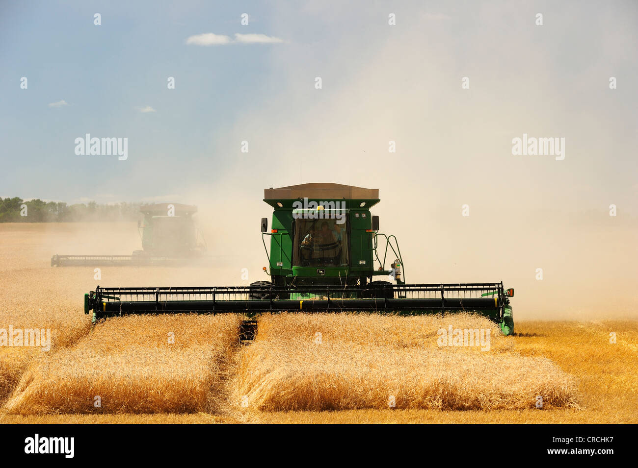 Mähdrescher ernten Getreide, Prairie, Manitoba, Kanada Stockfoto