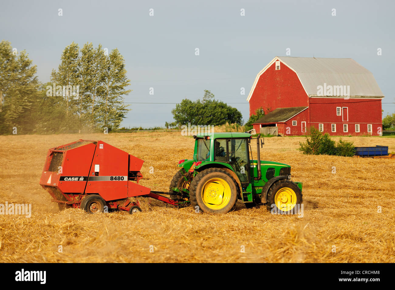 Landwirt mit Traktor die Strohballen in seinem Feld, Nova Scotia, Kanada Stockfoto