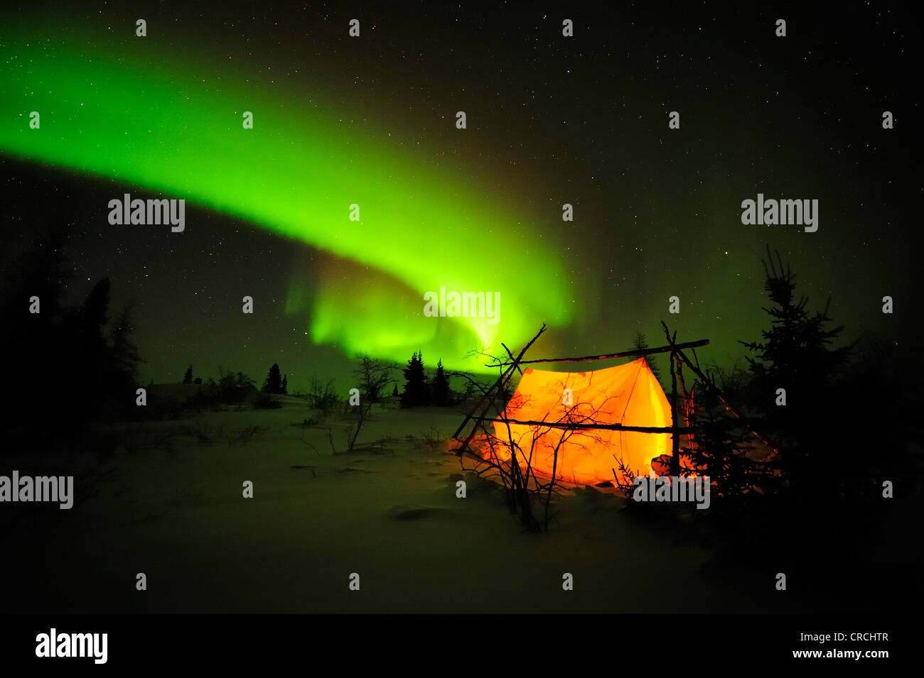 Nordlicht, Aurora Borealis über der Arktis, Hudson Bay, Manitoba, Kanada Stockfoto