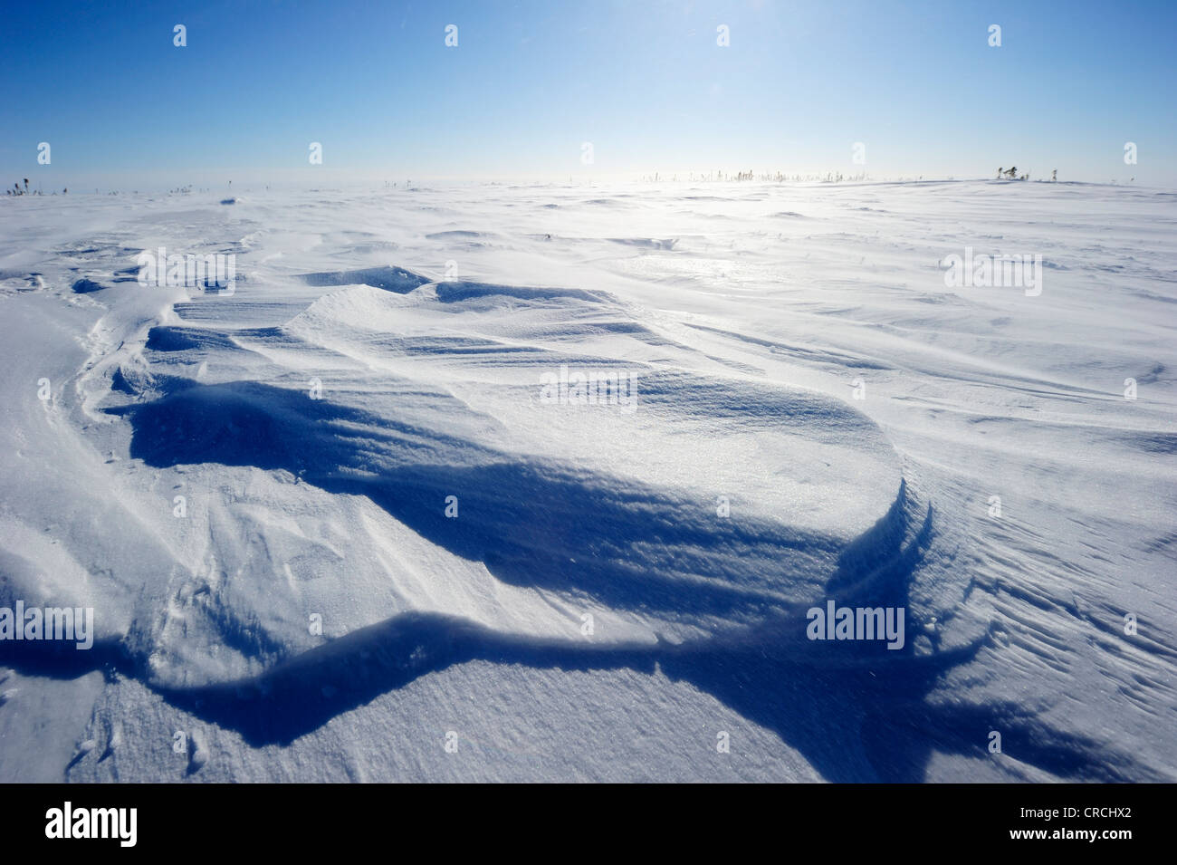 Arktische Landschaft, Hudson Bay, Wapusk-Nationalpark, Manitoba, Kanada Stockfoto