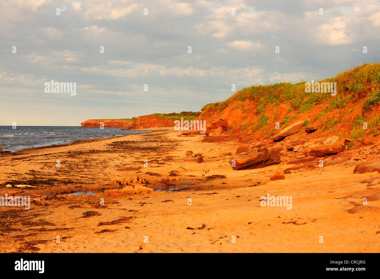 Roten Sandstein-Klippen und Strände, typische Küstenlinie in Prince Edward Island National Park, Prince Edward Island, Kanada Stockfoto