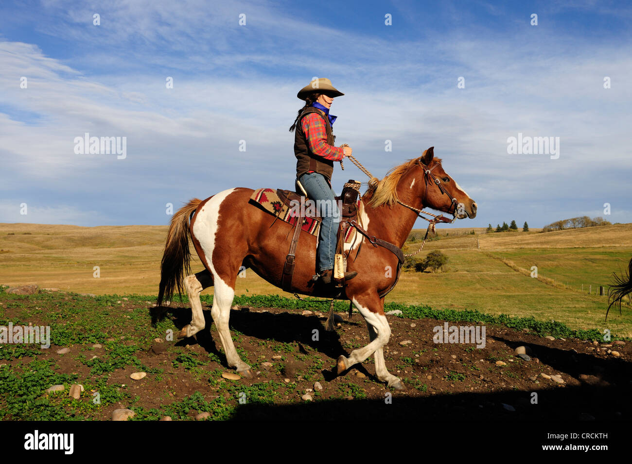 Cowgirl Reiten über die Prärie, Saskatchewan, Kanada, Nordamerika Stockfoto