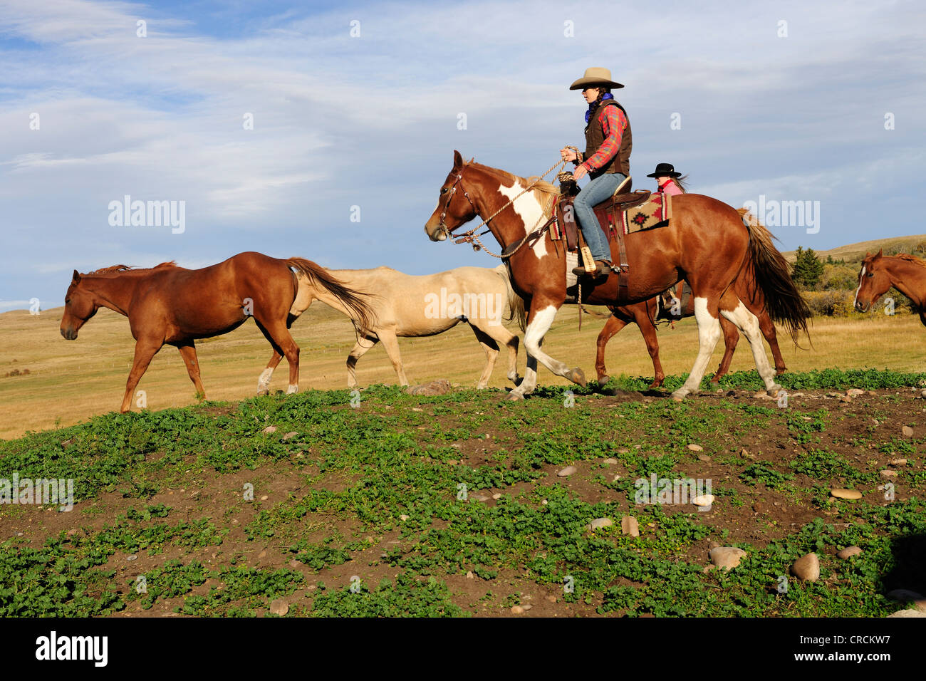 Zwei Cowgirls fahren Pferde, Saskatchewan, Kanada, Nordamerika Stockfoto