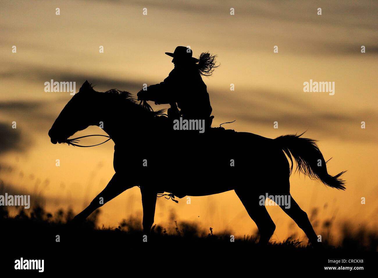 Cowgirl Reiten über die Prärie, Silhouette bei Sonnenuntergang, Saskatchewan, Canada Stockfoto