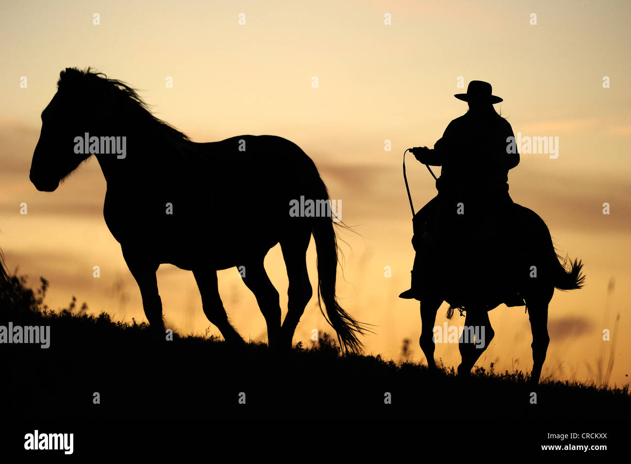 Cowgirl Fahrt ein Pferd durch die Prärie Silhouetten bei Sonnenuntergang, Saskatchewan, Canada Stockfoto