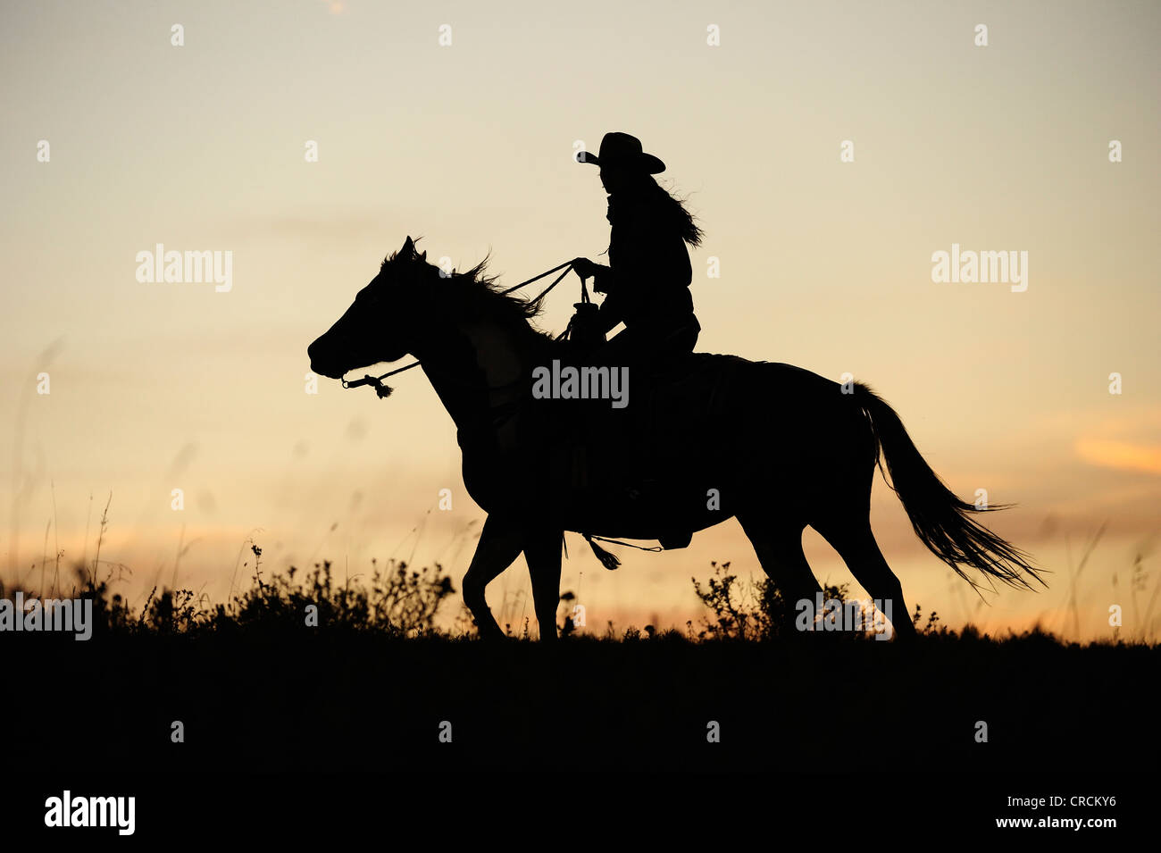 Cowgirl Reiten über die Prärie, Silhouette bei Sonnenuntergang, Saskatchewan, Canada Stockfoto