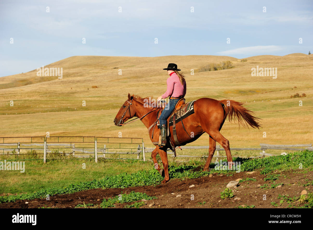 Cowgirl Reiten ein Pferd auf der Wiese, Saskatchewan, Kanada Stockfoto