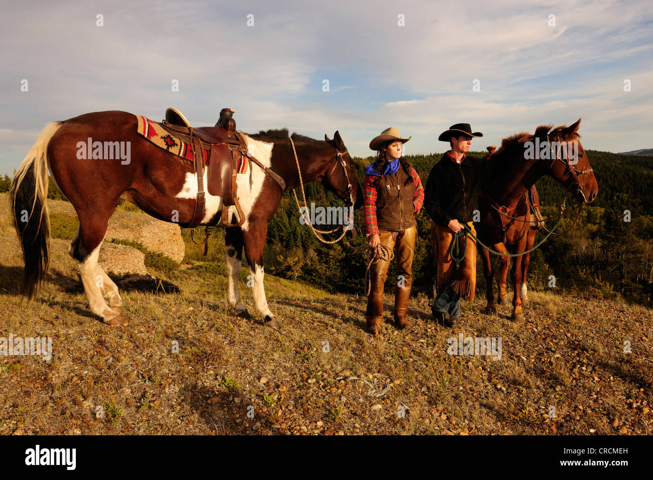 Ein Cowgirl und ein Cowboy stehen neben ihren Pferden mit den Zügeln in der Hand, blickte in die Ferne, Saskatchewan Stockfoto