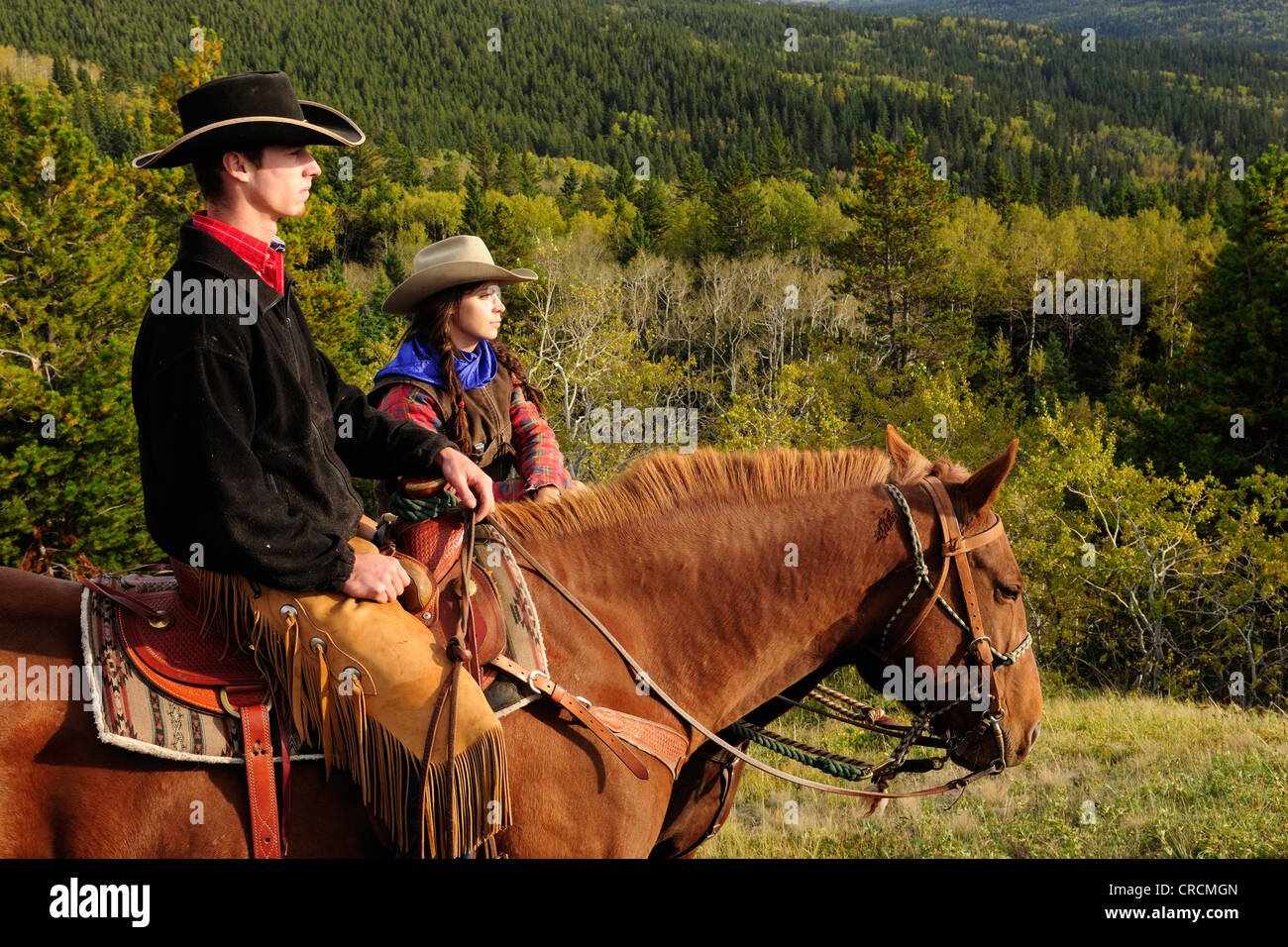 Ein Cowgirl und ein Cowboy sitzen auf ihren Pferden, blickte in die Ferne, Saskatchewan, Kanada Stockfoto