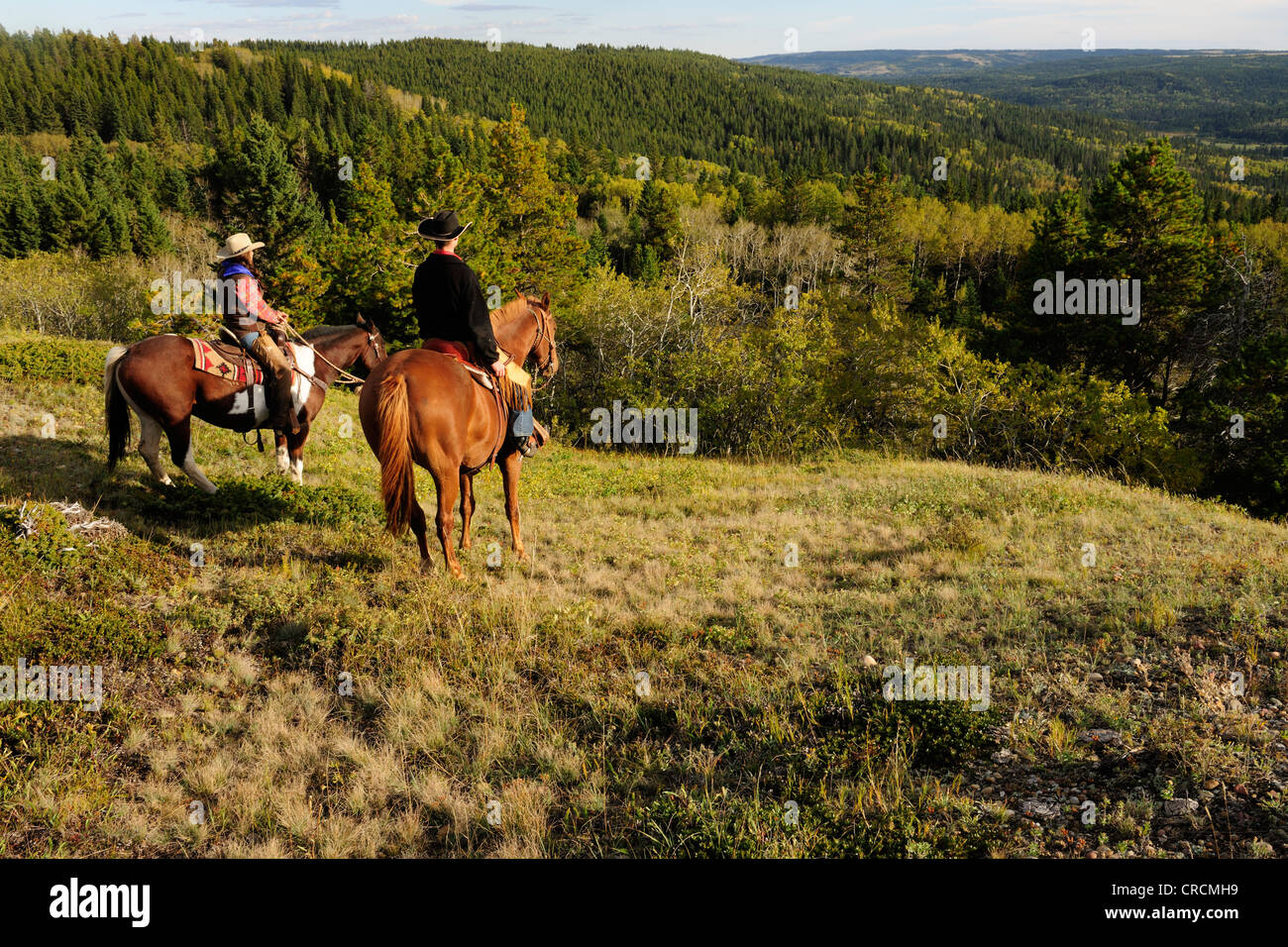 Ein Cowgirl und ein Cowboy sitzen auf ihren Pferden, blickte in die Ferne, Saskatchewan, Kanada Stockfoto