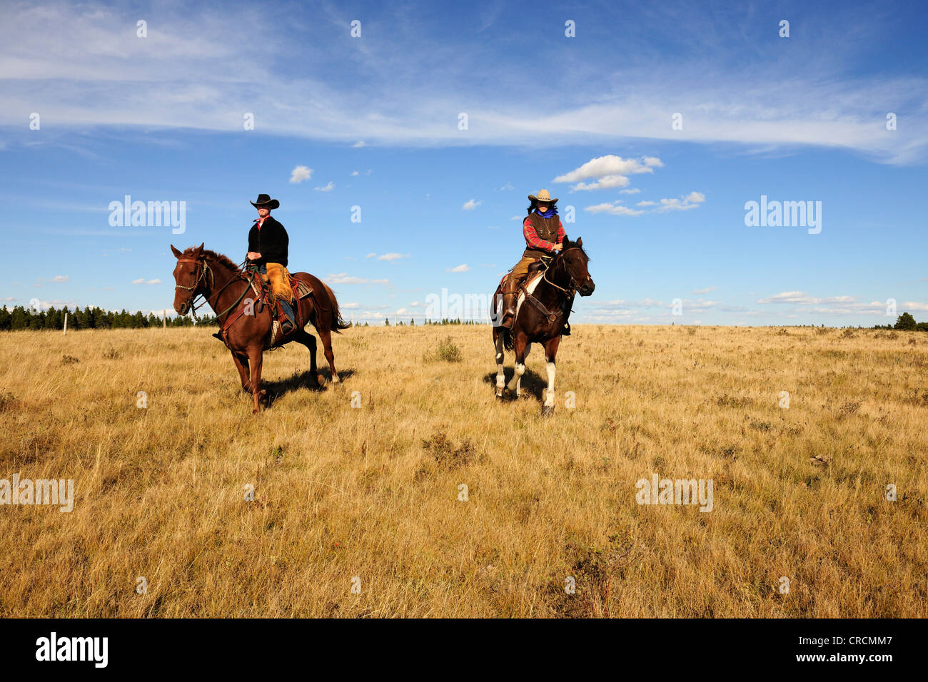 Ein Cowgirl und ein Cowboy Reiten quer durch die Prärie, Saskatchewan, Kanada Stockfoto