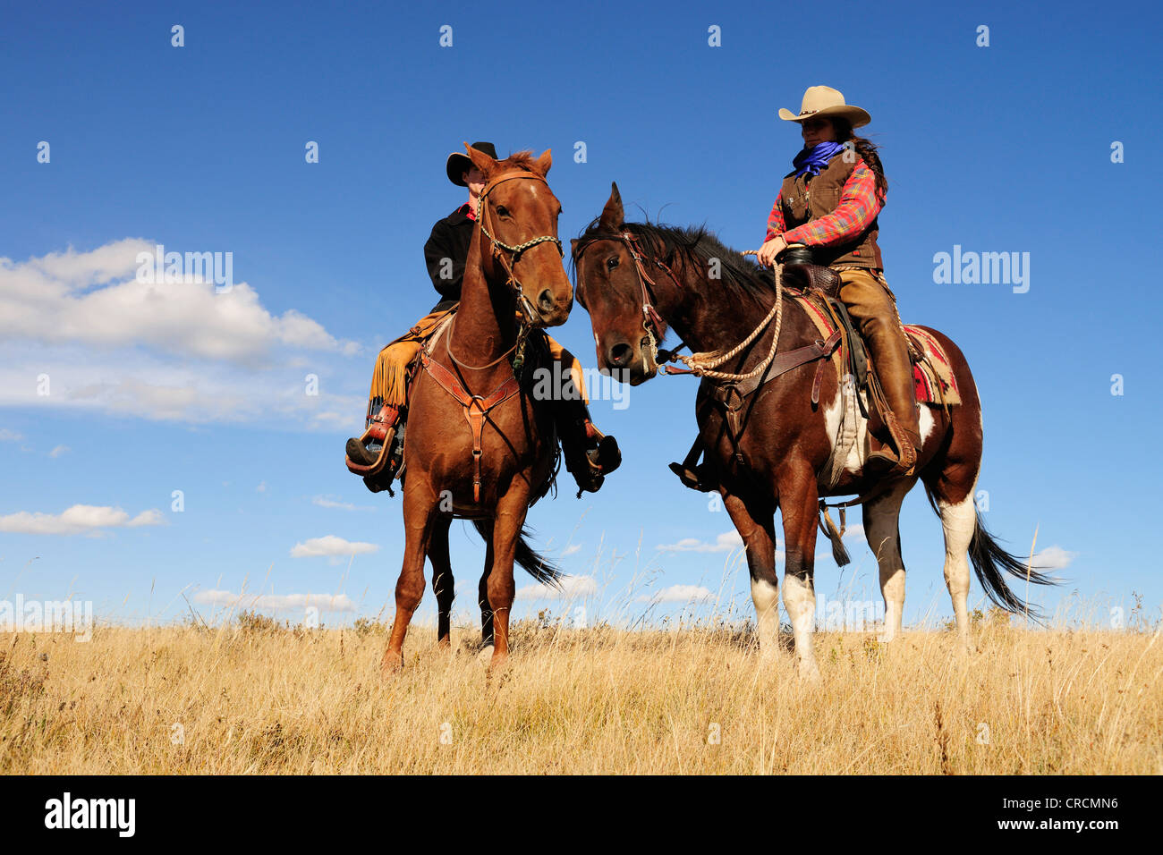 Ein Cowgirl und ein Cowboy sitzt auf ihre Pferde, Saskatchewan, Kanada Stockfoto