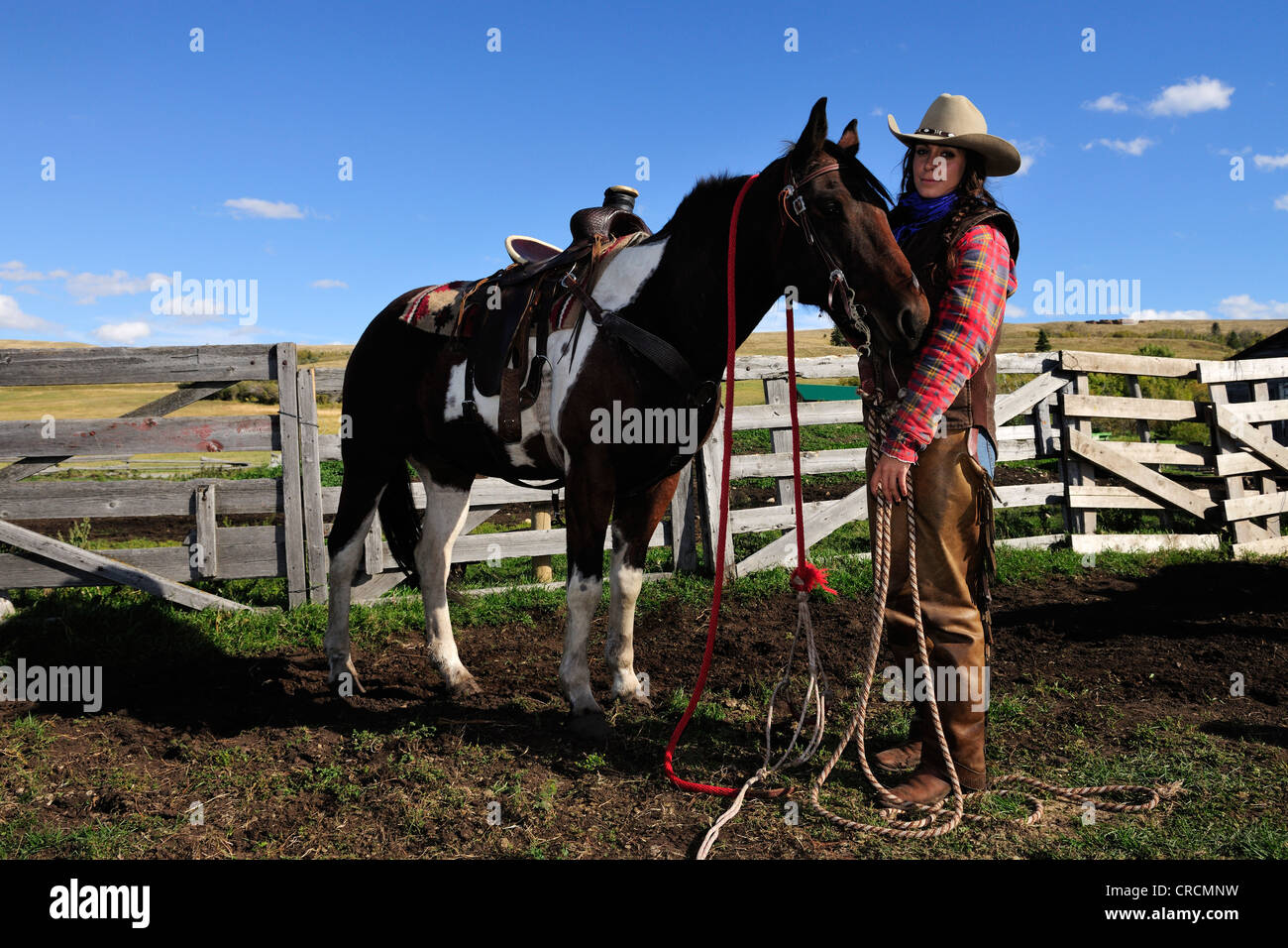 Cowgirl satteln eine Pferd, Saskatchewan, Kanada Stockfoto