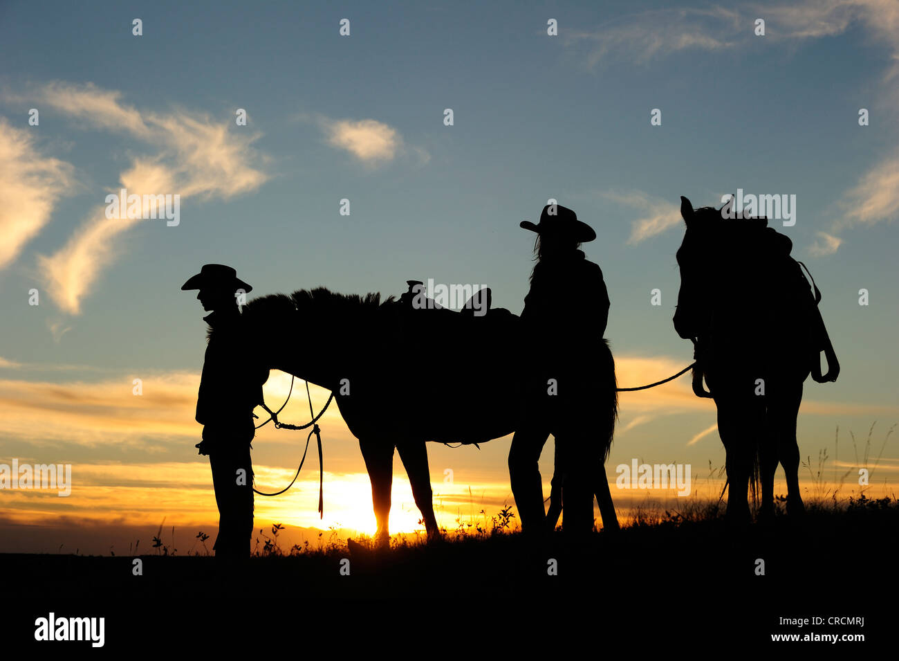Cowgirl und Cowboy mit Pferden bei Sonnenuntergang, Saskatchewan, Kanada, Nordamerika Stockfoto