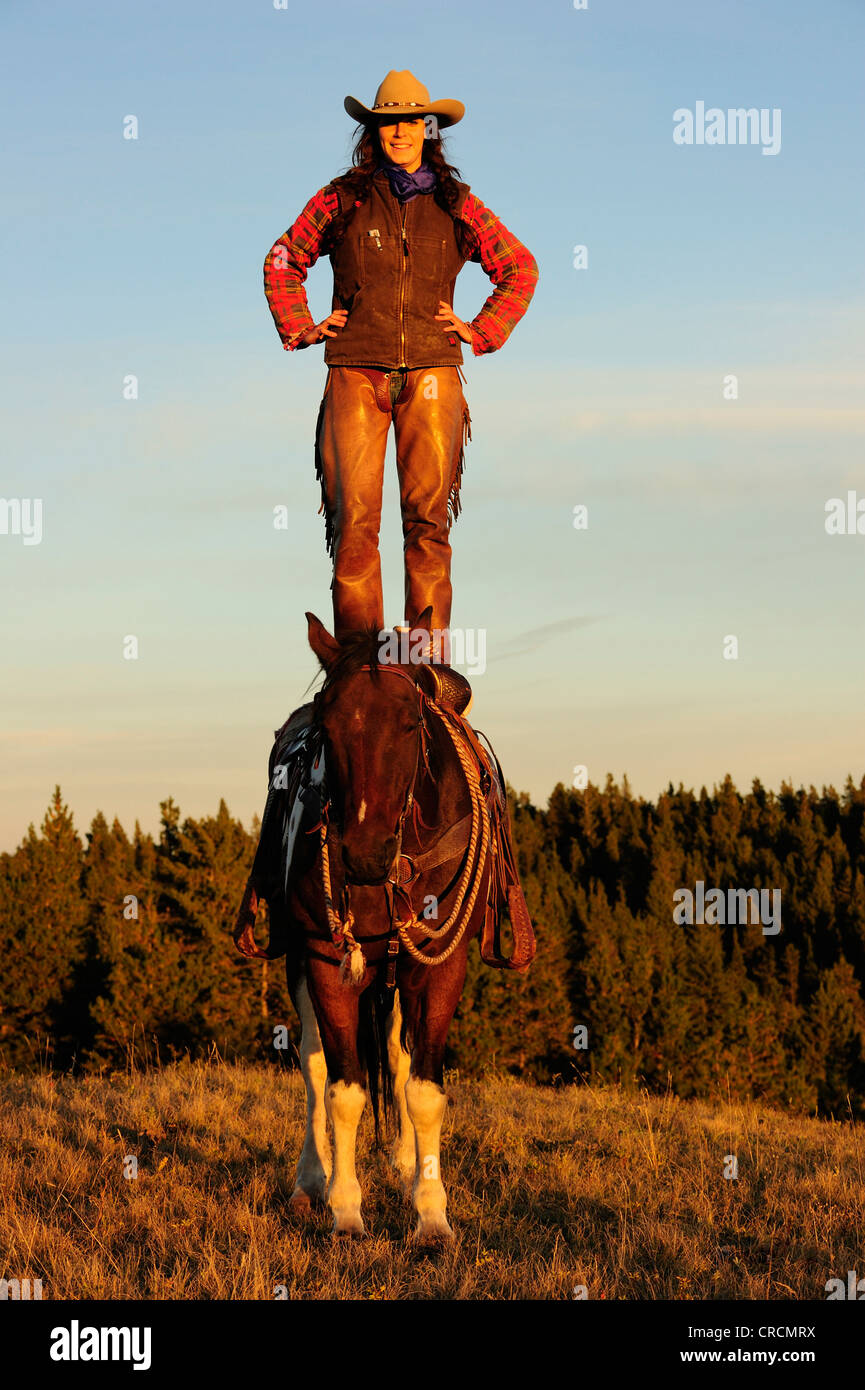 Cowgirl stehend auf dem Pferderücken, Saskatchewan, Kanada, Nordamerika Stockfoto