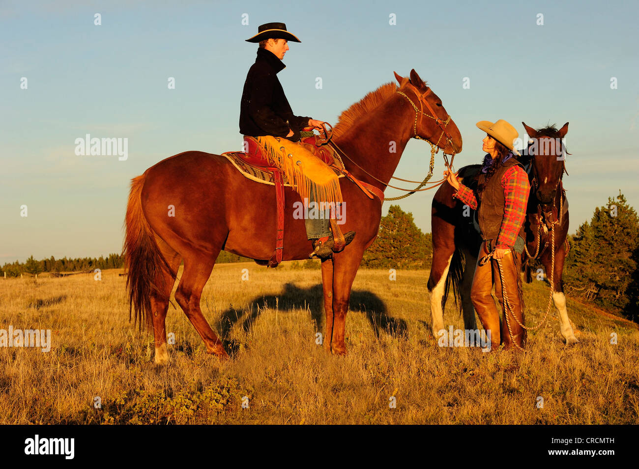 Cowgirl und Cowboy mit Pferden in der Abendsonne, Saskatchewan, Kanada, Nordamerika Stockfoto