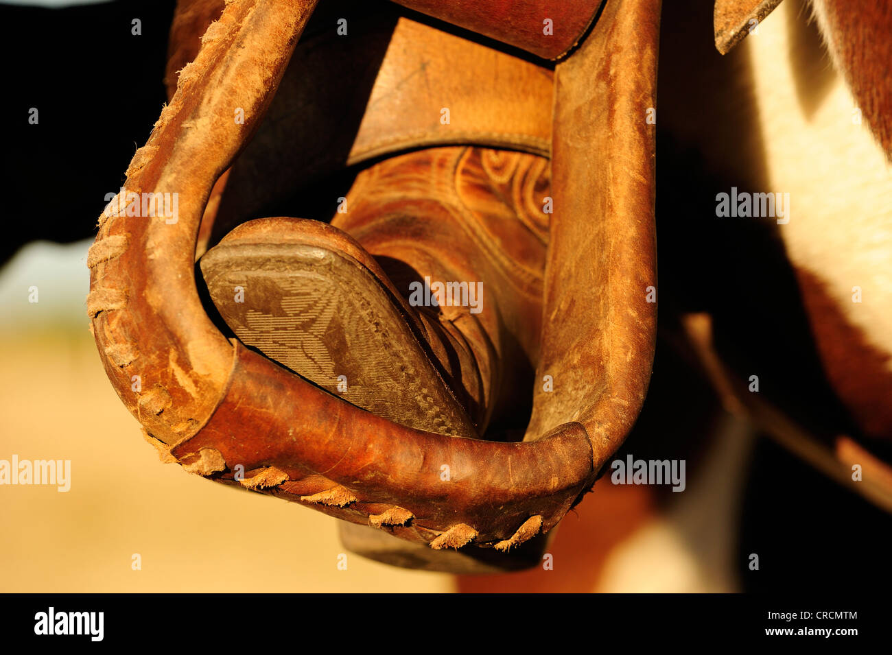 Cowboy-Stiefel in den Steigbügeln Stockfoto