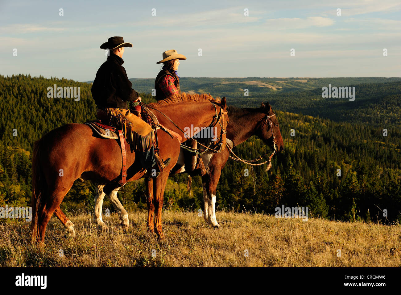 Cowboy und Cowgirl auf dem Pferd sitzend, Blick in die Ferne, Saskatchewan, Kanada, Nordamerika Stockfoto