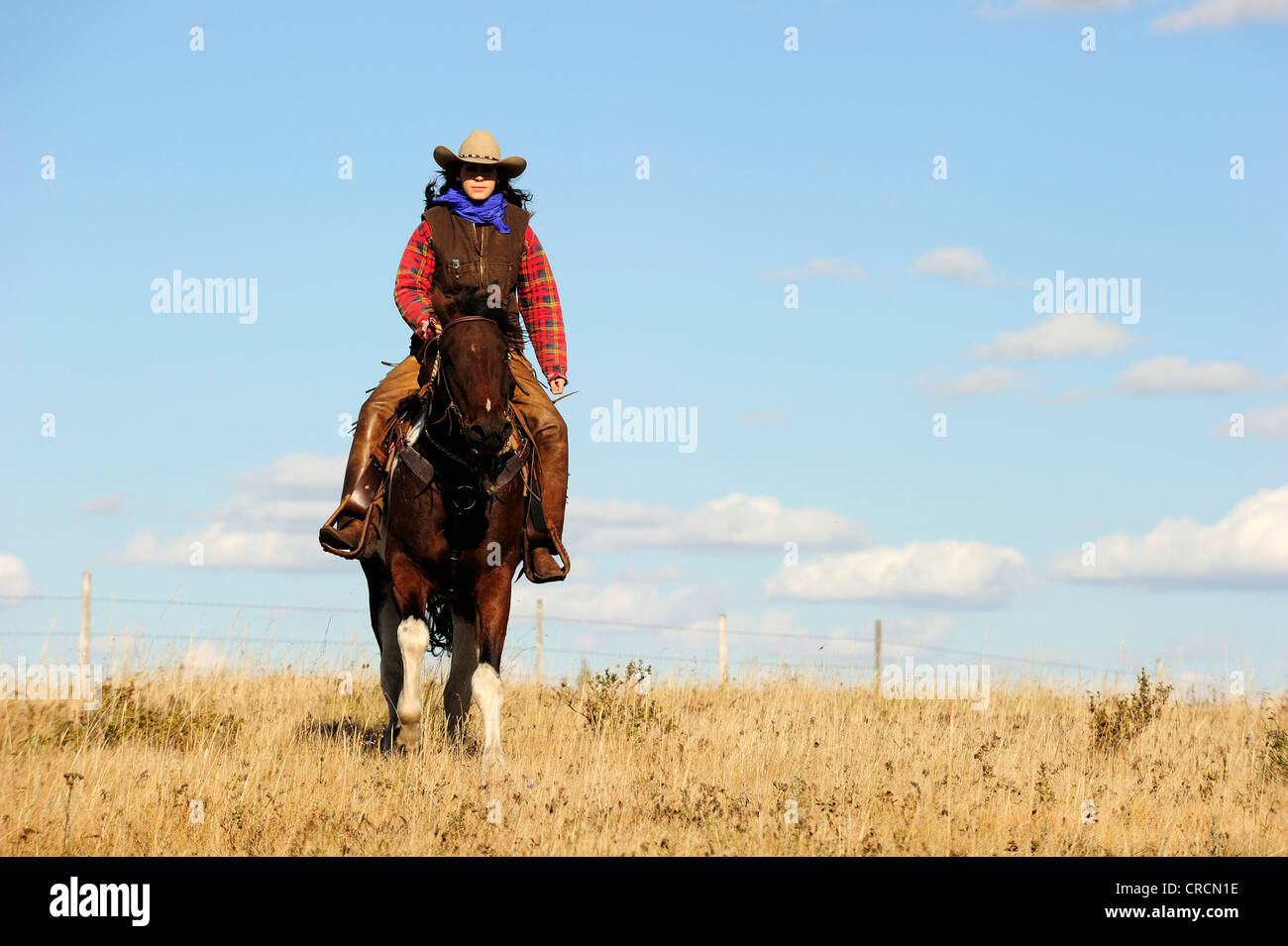 Cowgirl reitet durch die Prärie, Saskatchewan, Kanada, Nordamerika Stockfoto