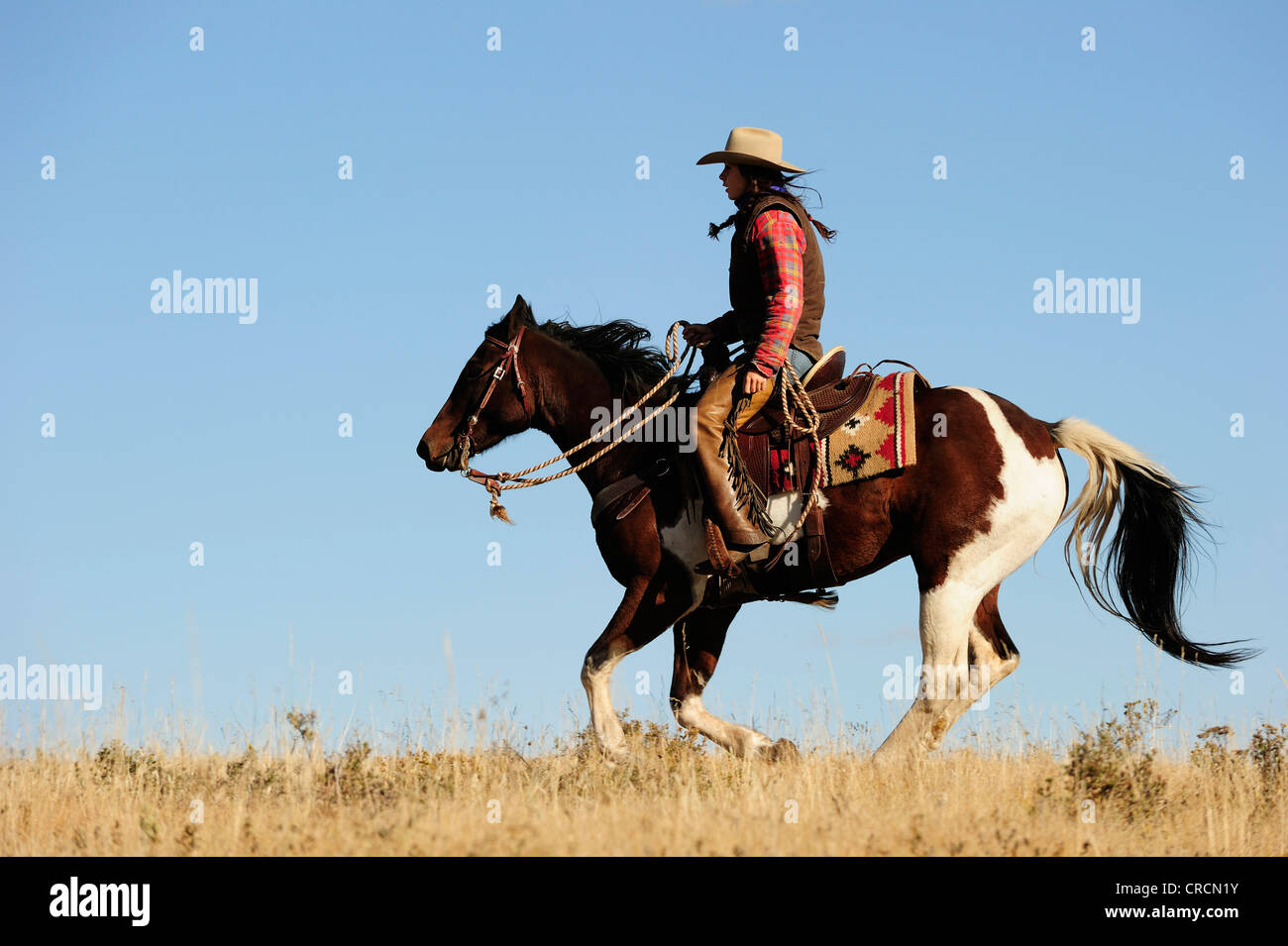 Cowgirl reitet durch die Prärie, Saskatchewan, Kanada, Nordamerika Stockfoto