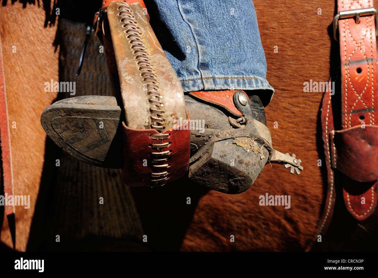Cowboy-Stiefel mit Sporen im Steigbügel Stockfoto