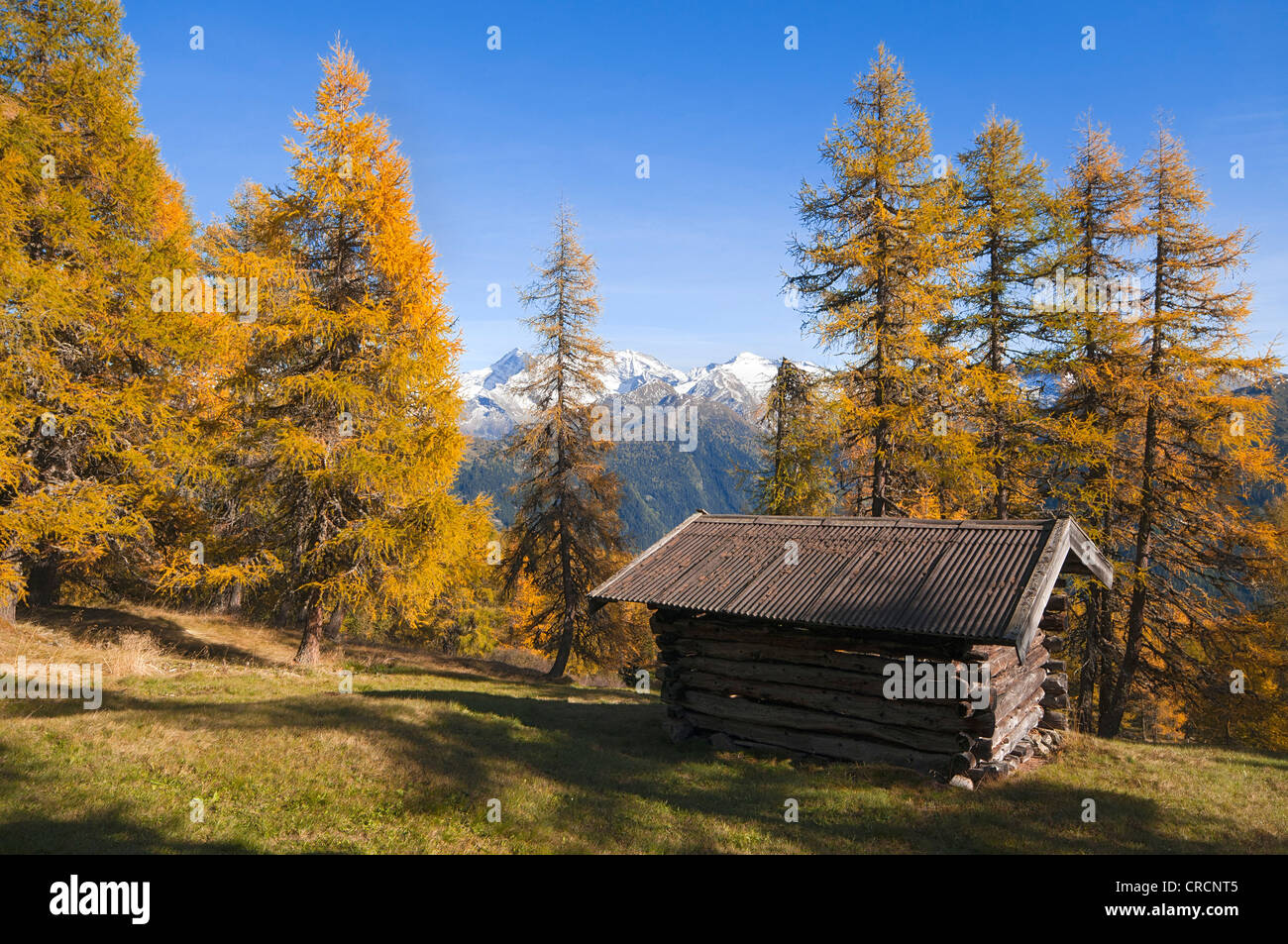 Scheune, Lärchenwiesen, Obernbergtal, Tirol, Österreich Stockfoto