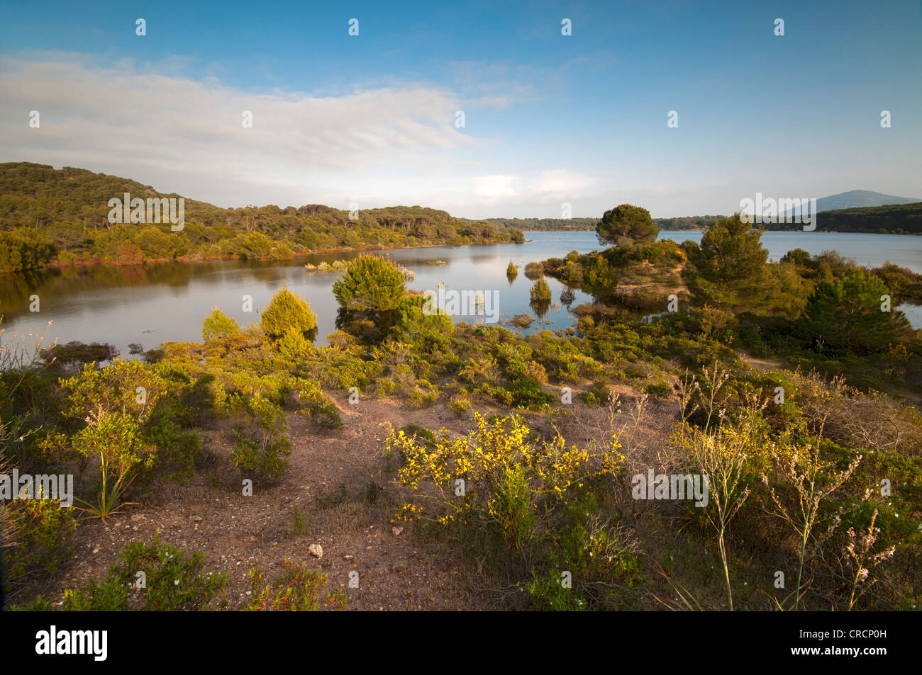 Lago Baratz, der einzige natürliche Süßwassersee in Sardinien, Alghero, Sardinien, Italien, Europa Stockfoto