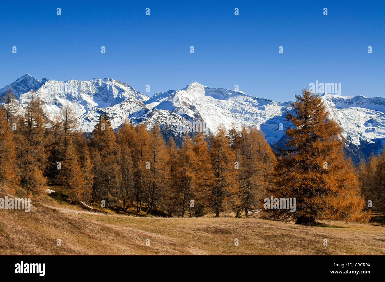 Sagwandspitze, Hohe Wand, Kraxentrager, Wildseespitze, Vinaders und Obernberg Berge, Tirol, Austria, Europe Stockfoto