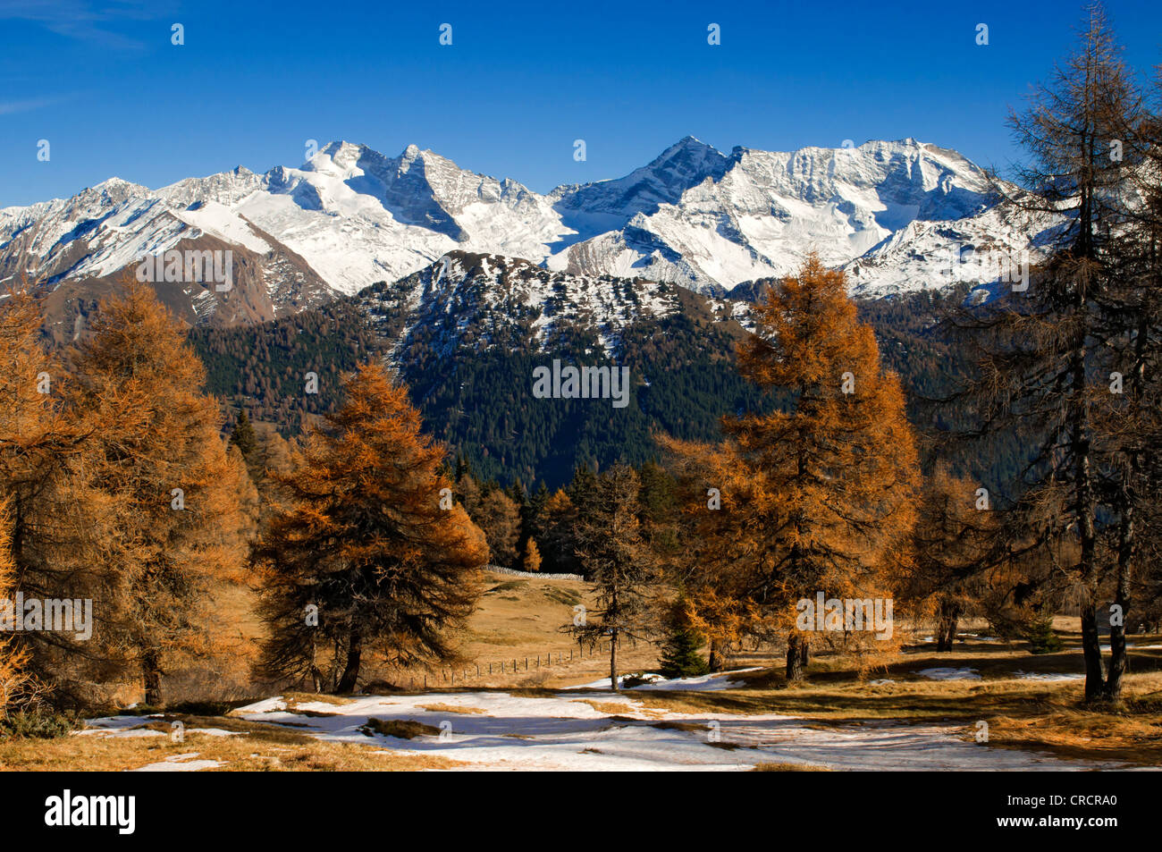 Lärchenwiesen mit Olperer, Fussstein, Schrammacher, Sagwandspitze, Hohe Wand, Vinaders und Obernberg Berge an der Rückseite, Tyrol Stockfoto